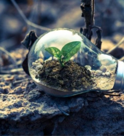 Powering the Future:Embracing the Renewable Revolution