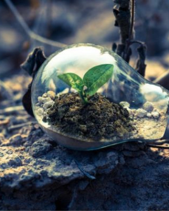Powering the Future:Embracing the Renewable Revolution