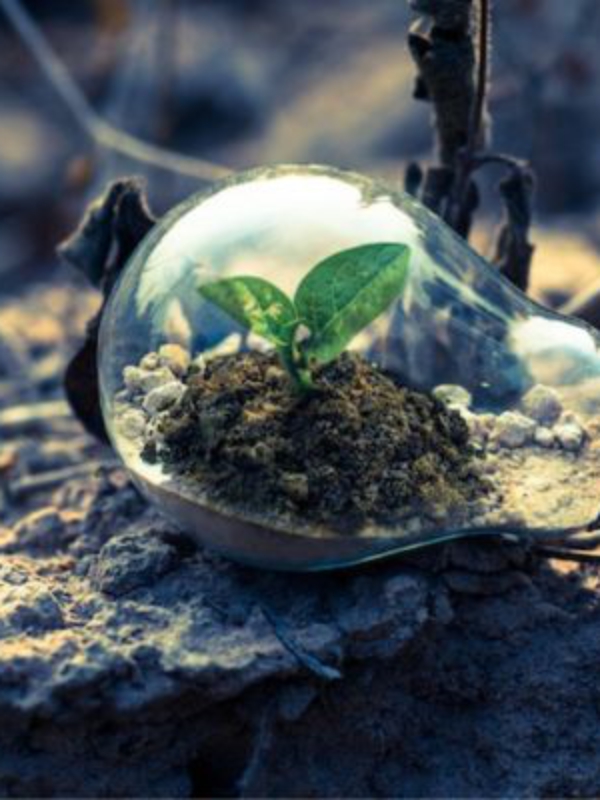 Powering the Future:Embracing the Renewable Revolution