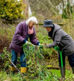 The Healing Power of Gardening