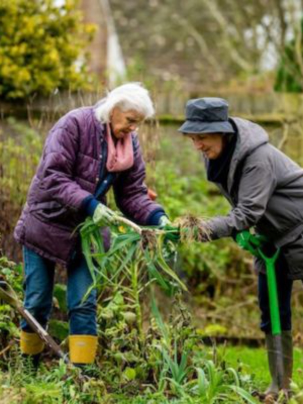 The Healing Power of Gardening