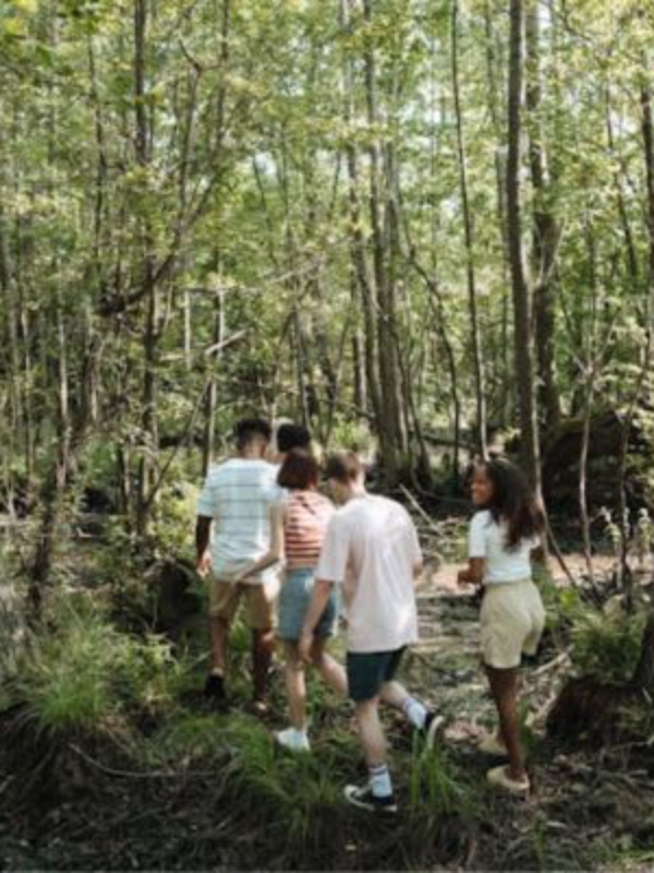 How to Maintain Immunity Stronger During Summer
