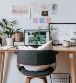 The Future of Business is Green