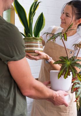 How Communities Grow Through Sharing and Contribution