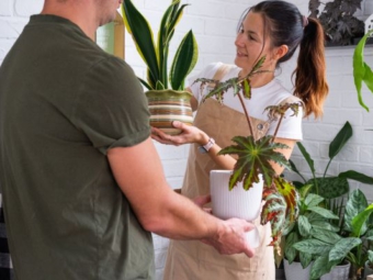 How Communities Grow Through Sharing and Contribution