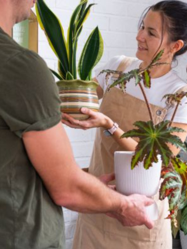 How Communities Grow Through Sharing and Contribution