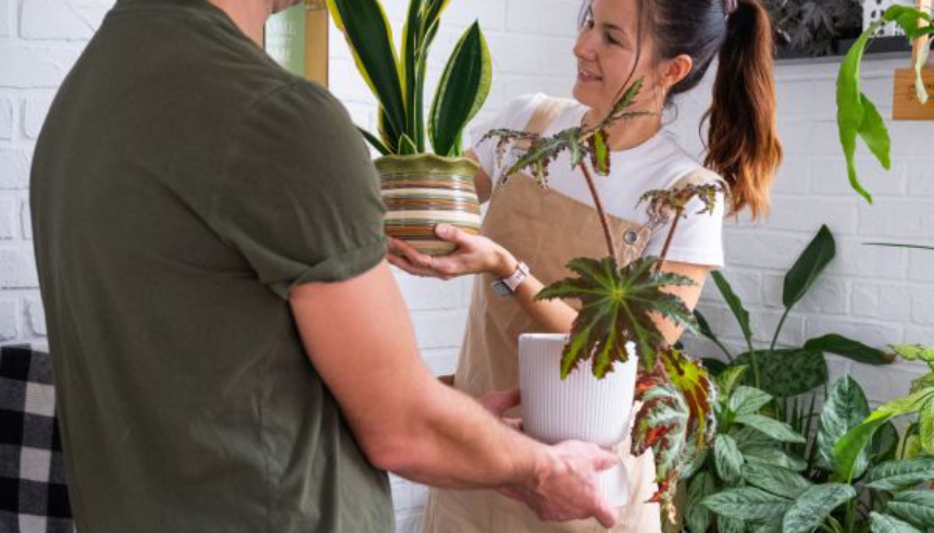 How Communities Grow Through Sharing and Contribution